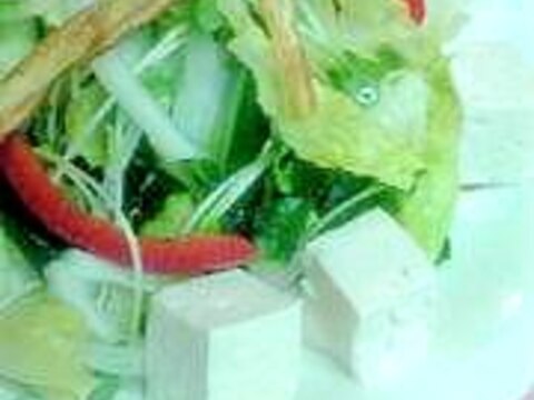 いろいろ野菜のサラダ＋ごぼうフライのせ
